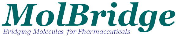 Pharmaceutical Drug Building Blocks at MolBridge LLC